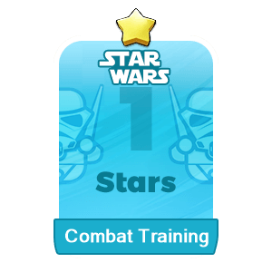 Combat Training
